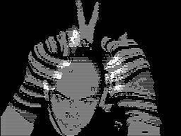 The show of speaking socks (2008)